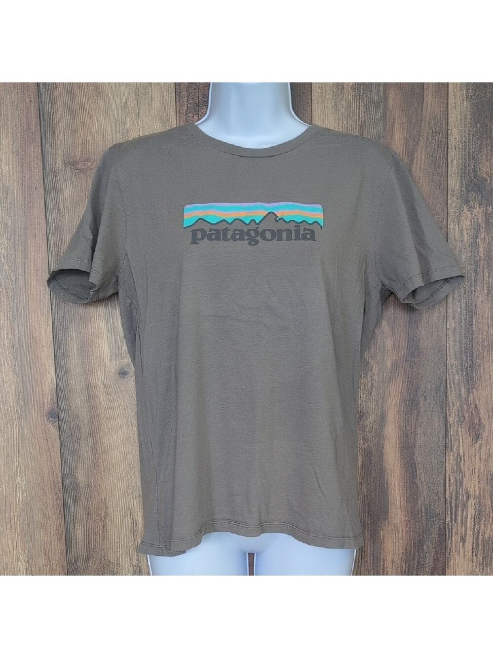 Patagonia Men's Gray Graphic Regular Fit Tee M                              M322